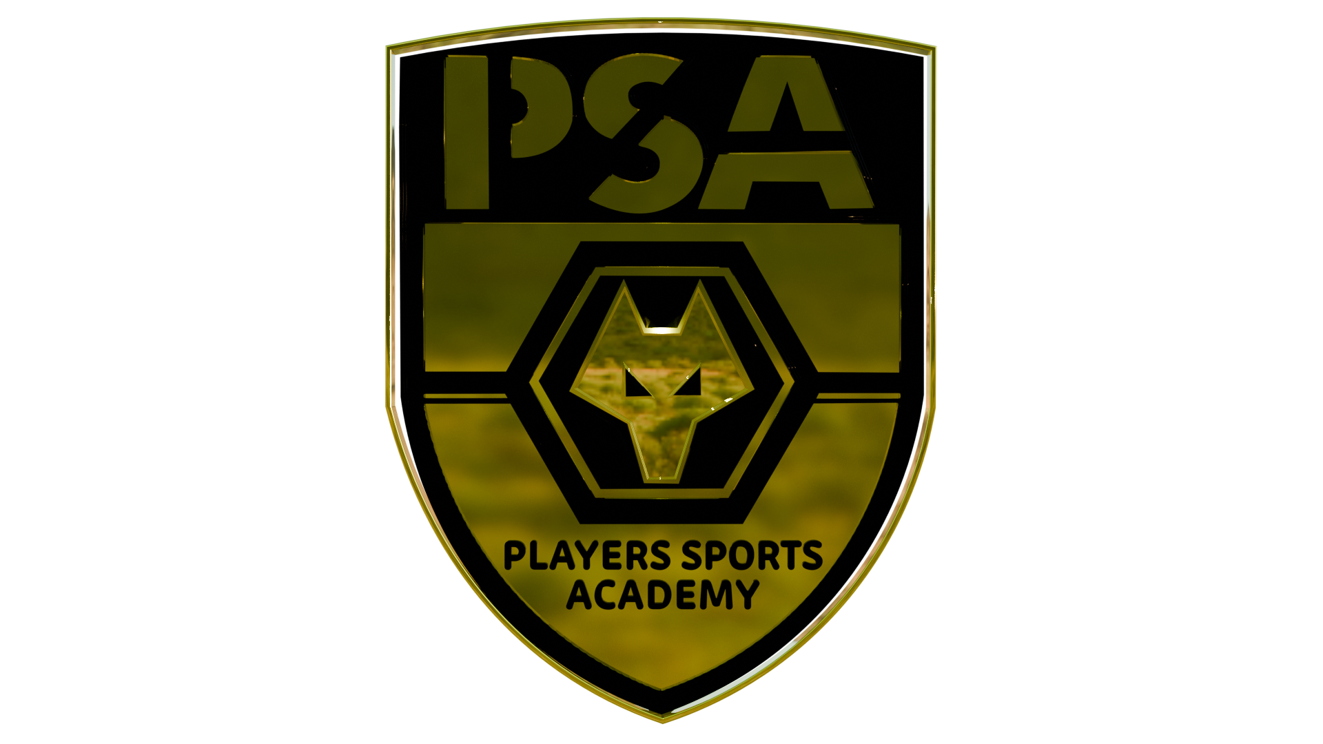 PSA Logo- 3d Front